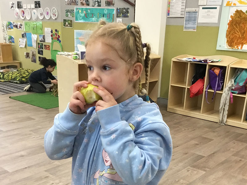 Healthy eating at CELC, St Luke's Catholic College Marsden Park