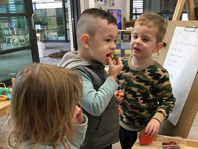 Healthy eating at CELC, St Luke's Catholic College Marsden Park