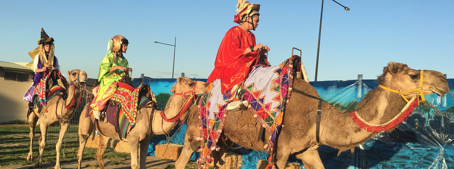 St Luke's Catholic School Marsden Park students riding camels for a nativity scene