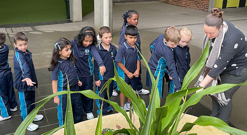 St Luke's Catholic School Marsden Park students looking at plants