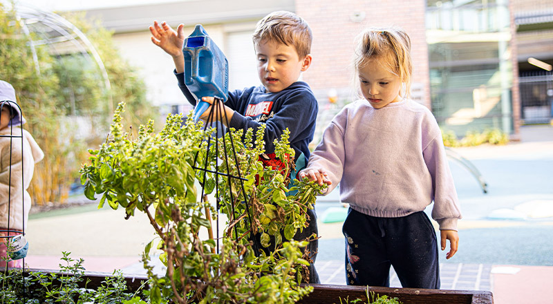 St Luke's Catholic School Marsden Park students gardening